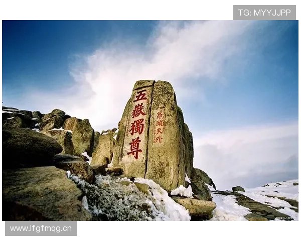 山东泰山重返巅峰之路:能否在竞争格局中实现突破 山东泰山重返巅峰之路:能否在竞争格局中实现突破