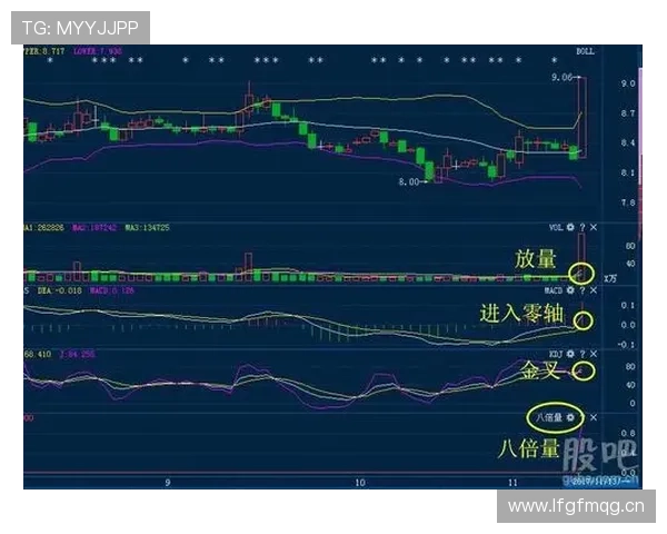 G组黑马机会与风险分析